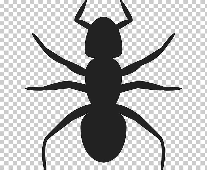 Ant PNG, Clipart, Ant, Arthropod, Artwork, Black And White, Black Garden Ant Free PNG Download