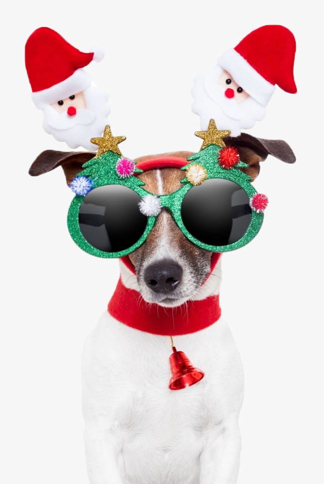 Christmas Dog PNG, Clipart, Animal, Canine, Cap, Celebration, Christmas Free PNG Download