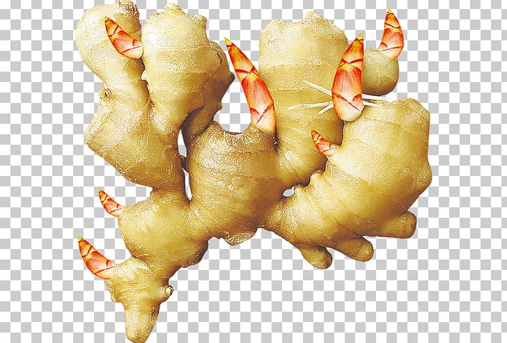Ginger PNG, Clipart, Computer Icons, Download, Food, Food Drinks, Fresh Ginger Free PNG Download