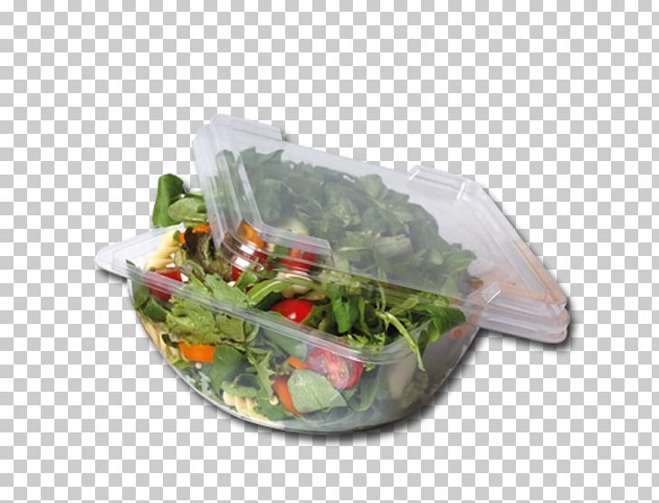 Leaf Vegetable Plastic Flowerpot Herb Tableware PNG, Clipart, Default, Flowerpot, Food, Herb, Index Free PNG Download