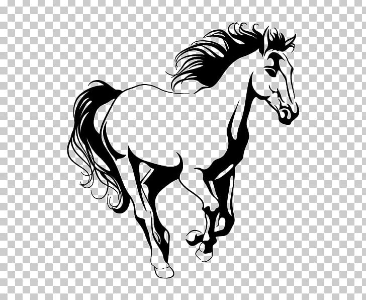 Wall Decal Arabian Horse Horse Training Sticker PNG, Clipart, Fictional Character, Horse, Horse Harness, Horse Supplies, Horse Tack Free PNG Download