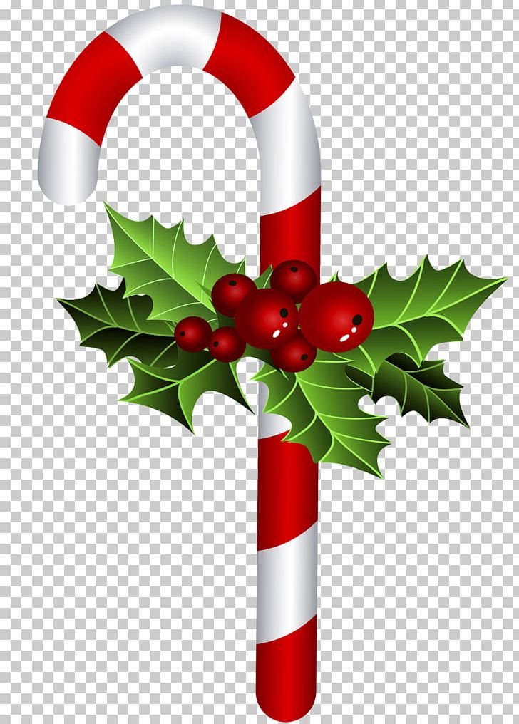 Christmas Ornament Candy Cane Bastone Christmas Tree PNG, Clipart, Aquifoliaceae, Aquifoliales, Bastone, Candy Cane, Christmas Free PNG Download