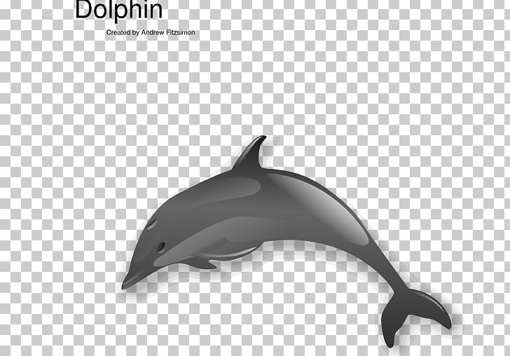 Common Bottlenose Dolphin Short-beaked Common Dolphin Tucuxi White-beaked Dolphin PNG, Clipart, Animals, Australian Humpback Dolphin, Bottlenose Dolphin, Chinese White Dolphin, Computer Free PNG Download