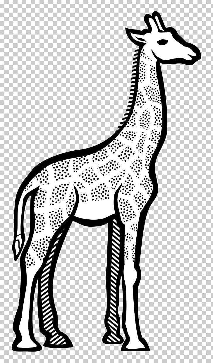 Giraffe Line Art Drawing PNG, Clipart, Animals, Area, Art, Black And White, Canvas Print Free PNG Download