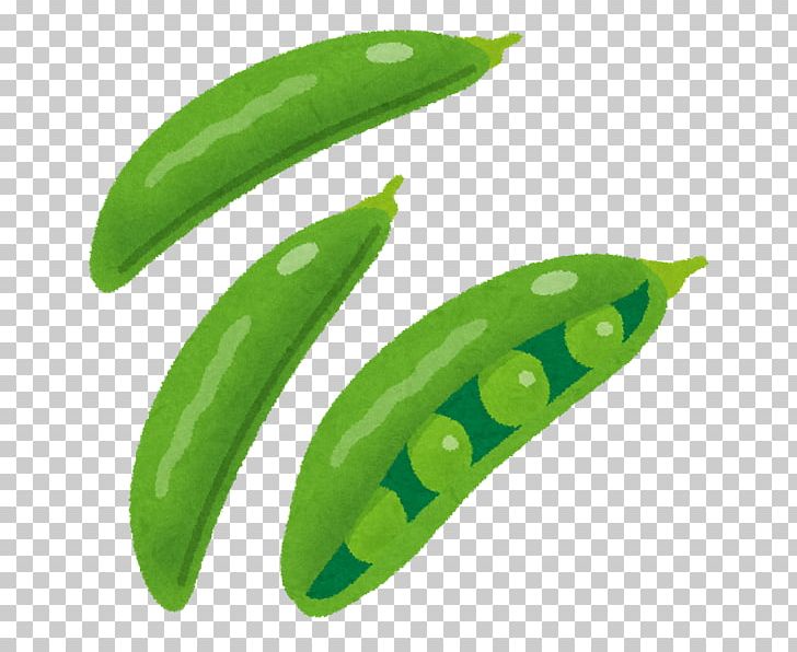 Snow Pea Edible-podded Pea Bean Vegetable Food PNG, Clipart, Bean, Budi Daya, Daikon, Eating, Food Free PNG Download