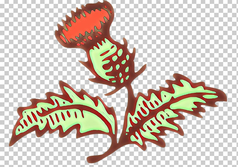 Leaf Plant Vascular Plant PNG, Clipart, Leaf, Plant, Vascular Plant Free PNG Download