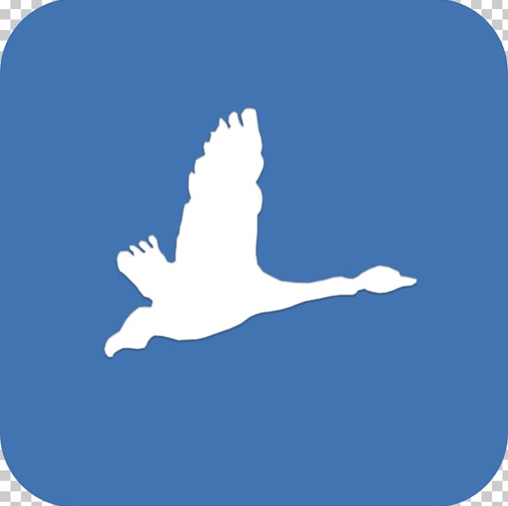 Bird Desktop Silhouette Computer PNG, Clipart, Animals, Avl, Bird, Blue, Business Model Free PNG Download