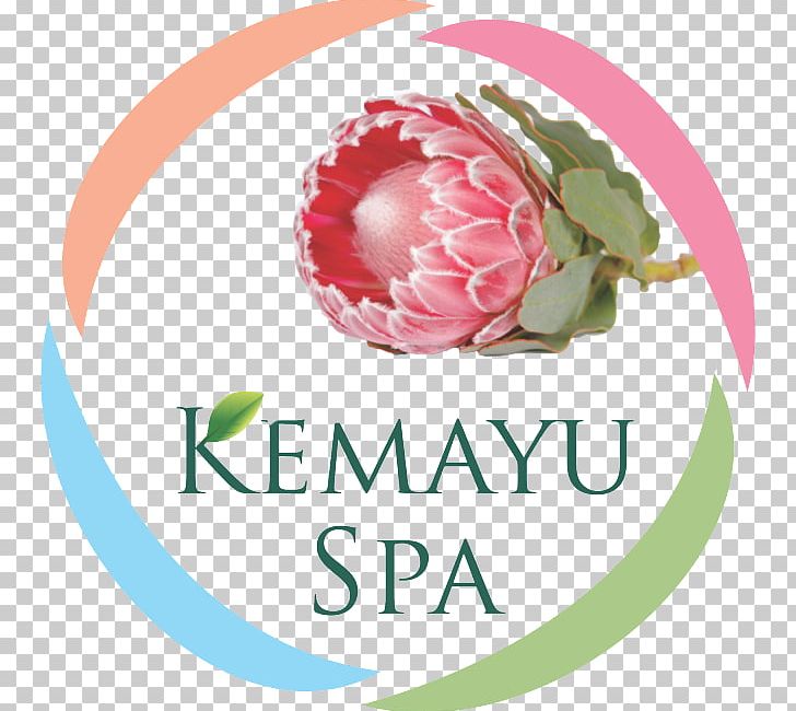 Kemayu Spa Day Spa Beauty Parlour Hillcrest PNG, Clipart, A La Carte, Beauty Parlour, Brand, Day Spa, Flavor Free PNG Download