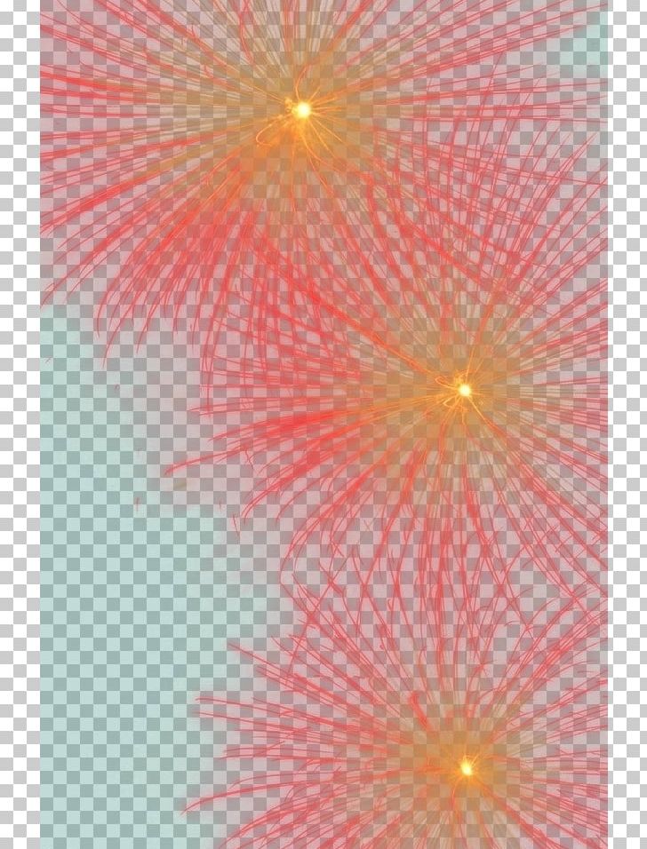 Light Petal Close-up Symmetry PNG, Clipart, Cartoon Fireworks, Closeup, Computer, Computer Wallpaper, Festival Free PNG Download