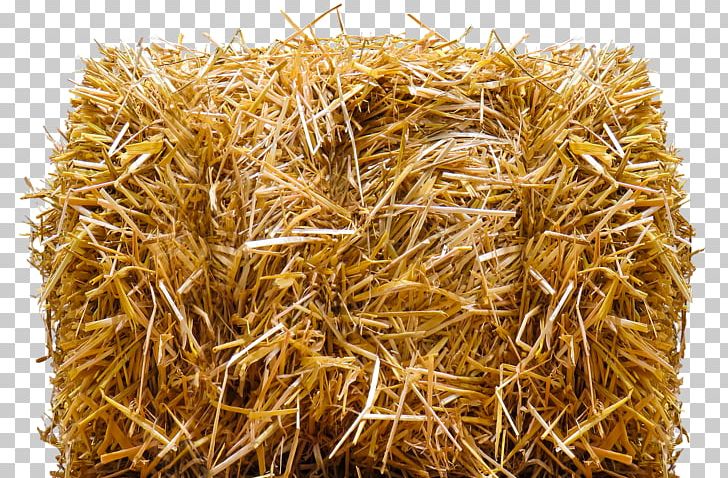 Straw-bale Construction Hay Baler PNG, Clipart, Agriculture, Avena, Bale, Baler, Cereal Free PNG Download