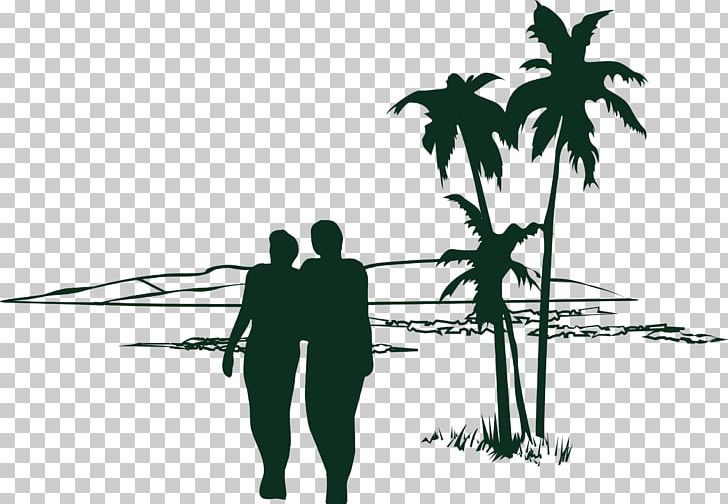 T-shirt Tree Coconut PNG, Clipart, Adobe Illustrator, Arecaceae, Beach, Beach Vector, Family Tree Free PNG Download