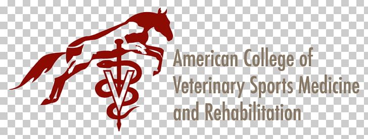 10th International Symposium On Veterinary Rehabilitation And Physical Therapy Sports Medicine Physical Medicine And Rehabilitation Horse PNG, Clipart, Animals, Brand, Fictional Character, Graphic Design, Horse Free PNG Download
