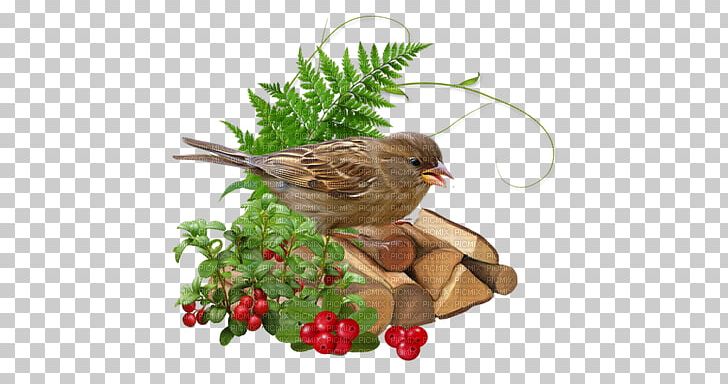 Blog Online Diary House Sparrow PNG, Clipart, Beak, Bird, Bird Nest, Blog, Branch Free PNG Download