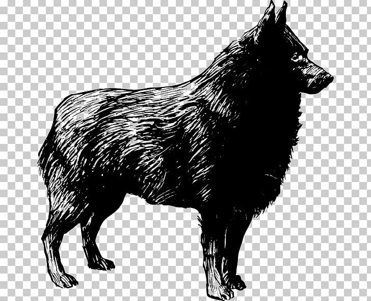 Schipperke German Shepherd Tamaskan Dog PNG, Clipart, Animal, Black, Black And White, Carnivoran, Dog Free PNG Download