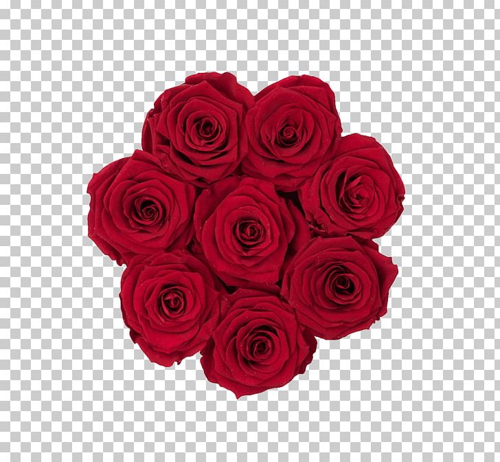 Garden Roses Cabbage Rose Cut Flowers Floribunda PNG, Clipart, Beige, Burgundy, Cabbage Rose, Color, Cut Flowers Free PNG Download