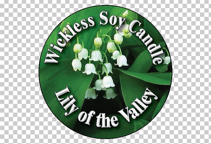 Green Flower Lily Of The Valley Candle PNG, Clipart, Candle, Flower, Grass, Green, Lily Of The Valley Free PNG Download