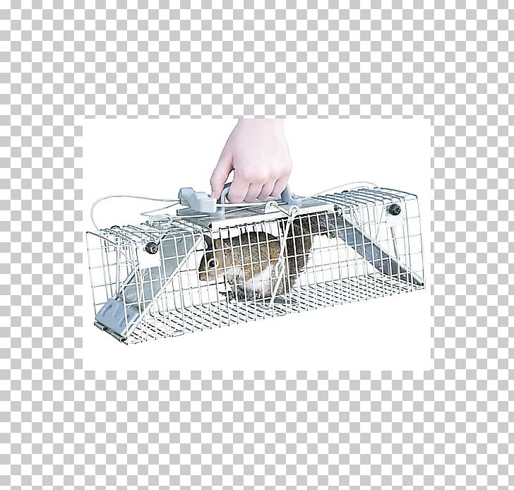 Mousetrap Cage Trapping PNG, Clipart, 4k Resolution, Animal Trap, Art, Cage, Mousetrap Free PNG Download