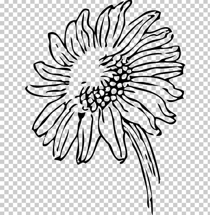 Line Art Common Sunflower PNG, Clipart, Black, Black And White, Blog, Chrysanths, Circle Free PNG Download