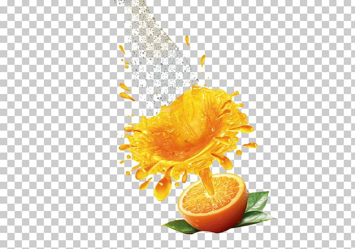 Orange Juice Tomato Juice Juicer Drink PNG, Clipart, Apple Fruit, Blender, Citric Acid, Computer Wallpaper, Drink Free PNG Download
