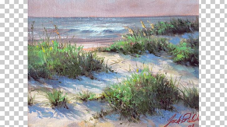 Salt Marsh American Beachgrass Watercolor Painting Art PNG, Clipart, Ammophila, Art, Artist, Bank, Bayou Free PNG Download