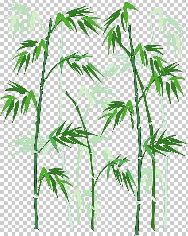 Bamboo PNG, Clipart, Advertising, Arecales, Bamboo Vector, Branch, Cartoon Free PNG Download
