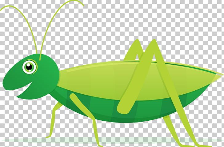 Grasshopper Stock Photography PNG, Clipart, Amphibian, Cartoon, Clip Art, Fauna, Fotosearch Free PNG Download