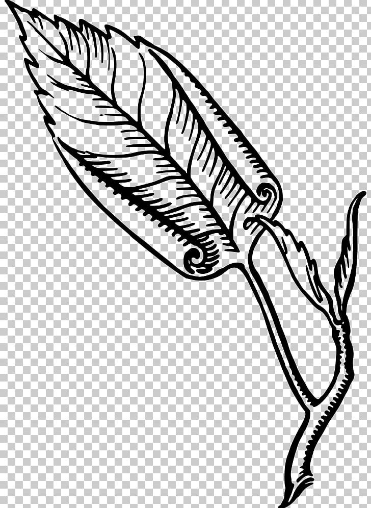 Leaf Involute Tail PNG, Clipart, Acanthus, Artwork, Beak, Black And White, Computer Icons Free PNG Download