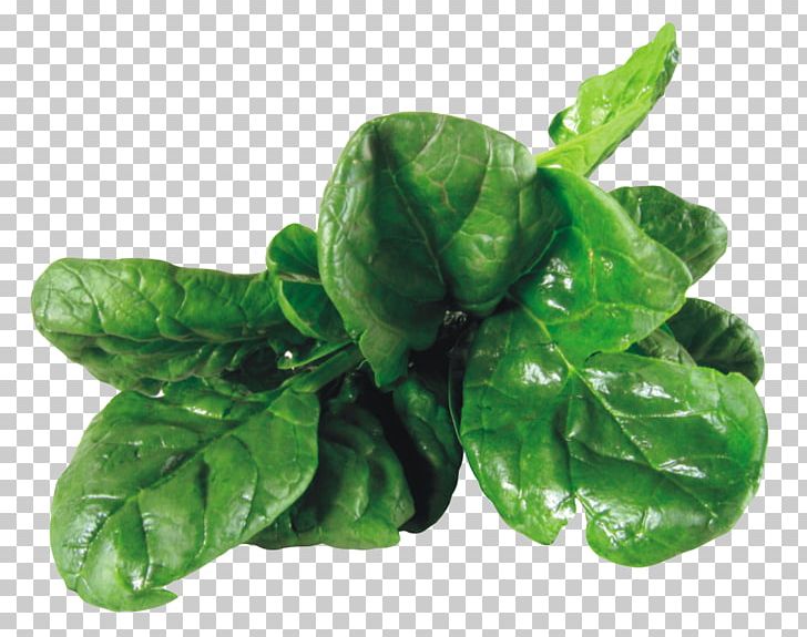 Vegetarian Cuisine Spinach Salad Leaf Vegetable PNG, Clipart, Basil, Blasting Effect, Chard, Choy Sum, Endive Free PNG Download
