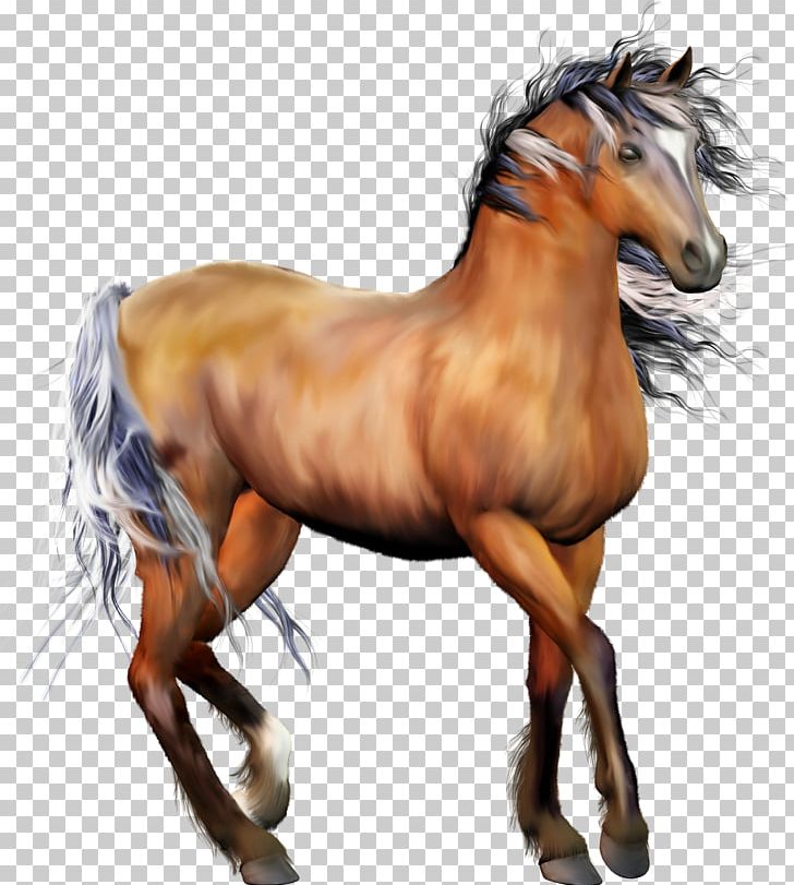 Appaloosa Wild Horse PNG, Clipart, Animal Figure, Appaloosa, Blingee, Bridle, Clip Art Free PNG Download