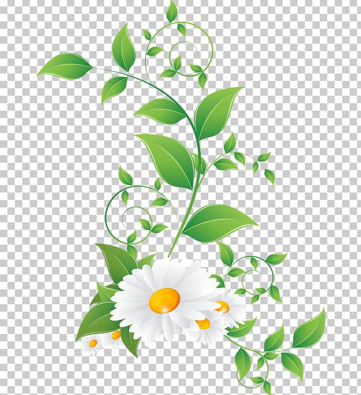 Flower PNG, Clipart, Branch, Clip Art, Flora, Floral Design, Flower Free PNG Download