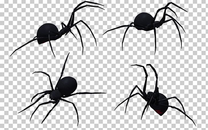 Widow Spiders Spider Web PNG, Clipart, Animation, Ant, Arachnid, Argiope Bruennichi, Arthropod Free PNG Download