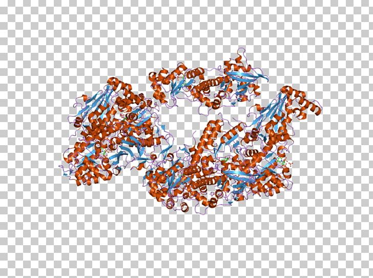 Nicotinamide Phosphoribosyltransferase Art Museum Pre-B-cell Colony Enhancing Factor 1 PNG, Clipart, Art, Art Museum, B Cell, Complex, Crystal Free PNG Download