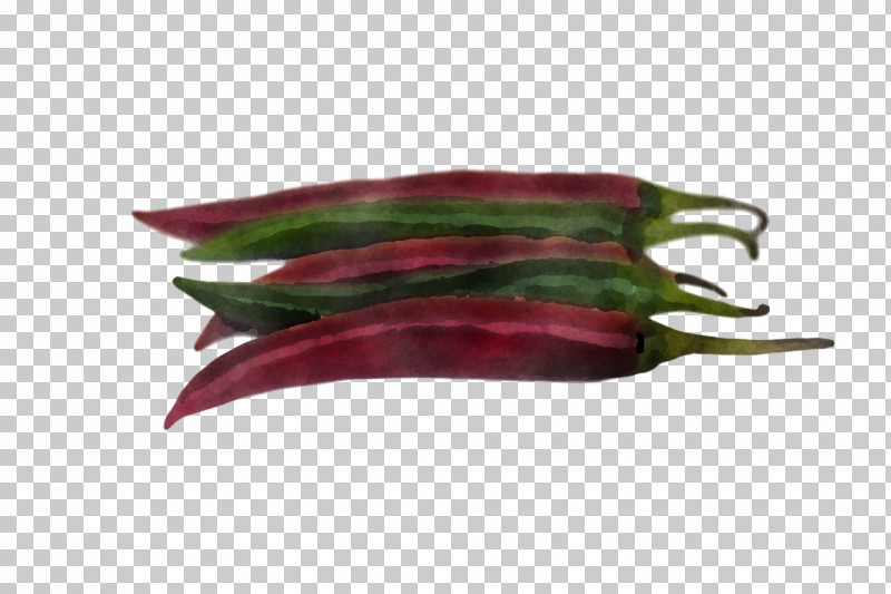 Vegetable Plant Okra Chili Pepper Eggplant PNG, Clipart, Chili Pepper, Eggplant, Food, Okra, Peperoncini Free PNG Download