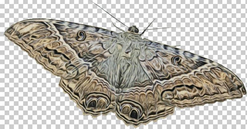 Brush-footed Butterflies Silkworm Moth PNG, Clipart, Brushfooted Butterflies, Moth, Paint, Silkworm, Watercolor Free PNG Download