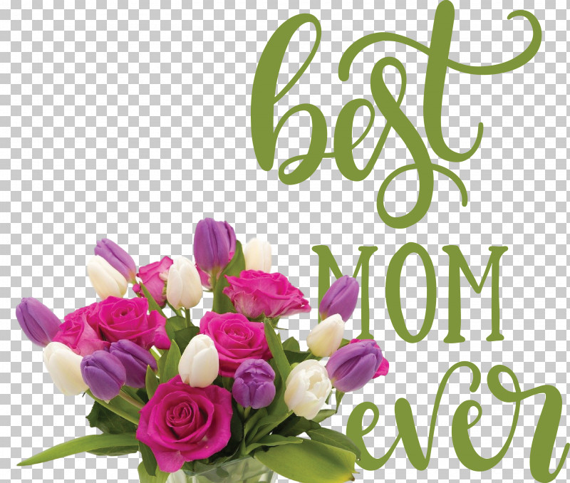 Mothers Day Best Mom Ever Mothers Day Quote PNG, Clipart, Best Mom Ever, Birthday, Bouquet Of Roses, Exotic Bouquet, Floral Design Free PNG Download