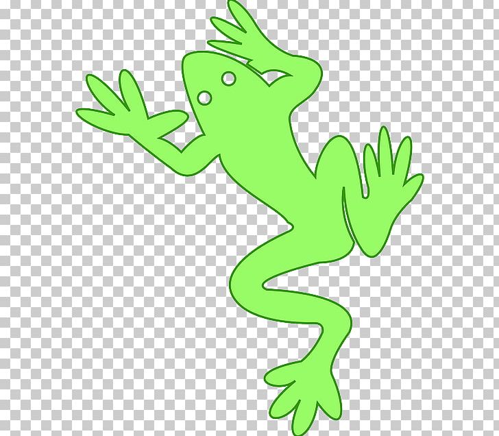 Amphibian Frog PNG, Clipart, Amphibian, Animal Figure, Animals, Area, Artwork Free PNG Download