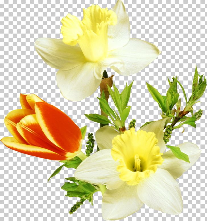 March 8 PNG, Clipart, Computer Icons, Cut Flowers, Floral Design, Floristry, Flower Free PNG Download