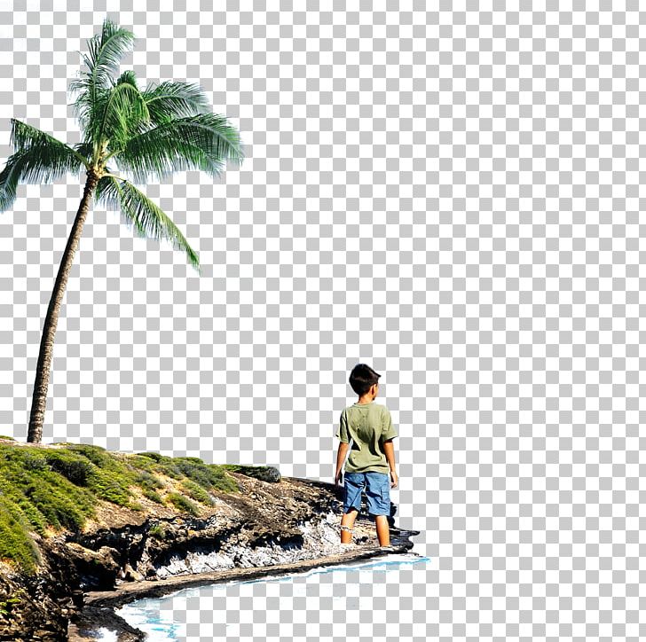 Beach Cliff PNG, Clipart, Adobe Illustrator, Beach, Beaches, Beach Party, Boy Free PNG Download
