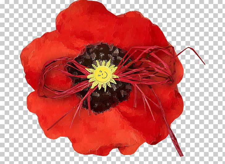 Common Poppy Flower PNG, Clipart, Blume, Cicek, Cicek Resimleri, Common Poppy, Coquelicot Free PNG Download