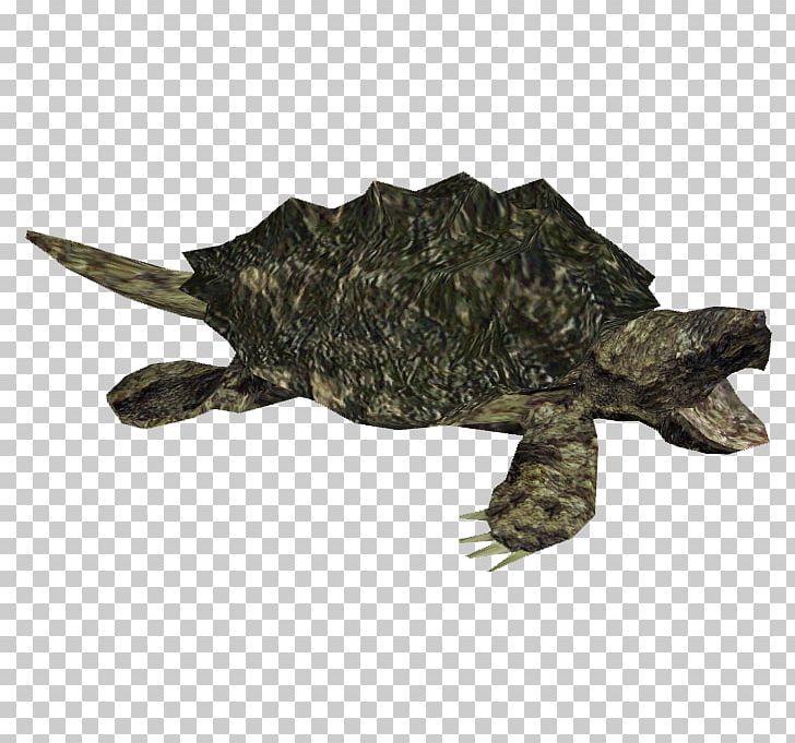 Common Snapping Turtle Alligator Snapping Turtle PNG, Clipart, Alligator, Alligator Snapping Turtle, Animals, Box Turtle, Chelydridae Free PNG Download