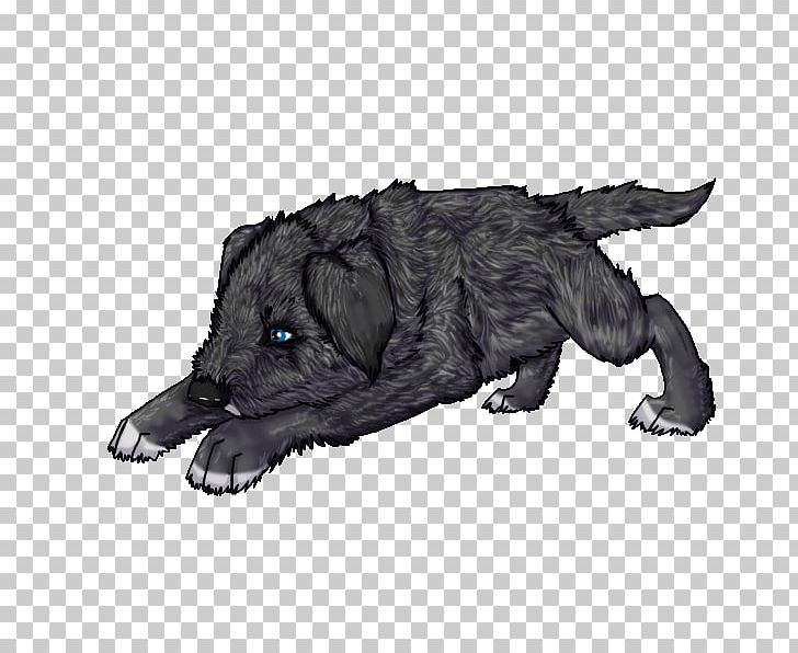 Dog Breed Snout Fur PNG, Clipart, Animals, Breed, Carnivoran, Dog, Dog Breed Free PNG Download