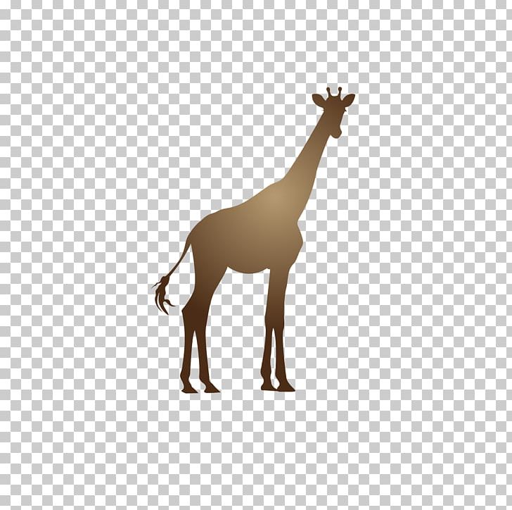 Giraffe Deer Neck Animal Pattern PNG, Clipart, Animal, Animals, Balloon Cartoon, Boy Cartoon, Cartoon Free PNG Download