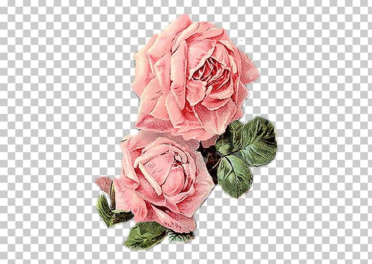 Flower Seed Collage PNG, Clipart, Antique, Art, Artificial Flower, Collage, Cut Flowers Free PNG Download