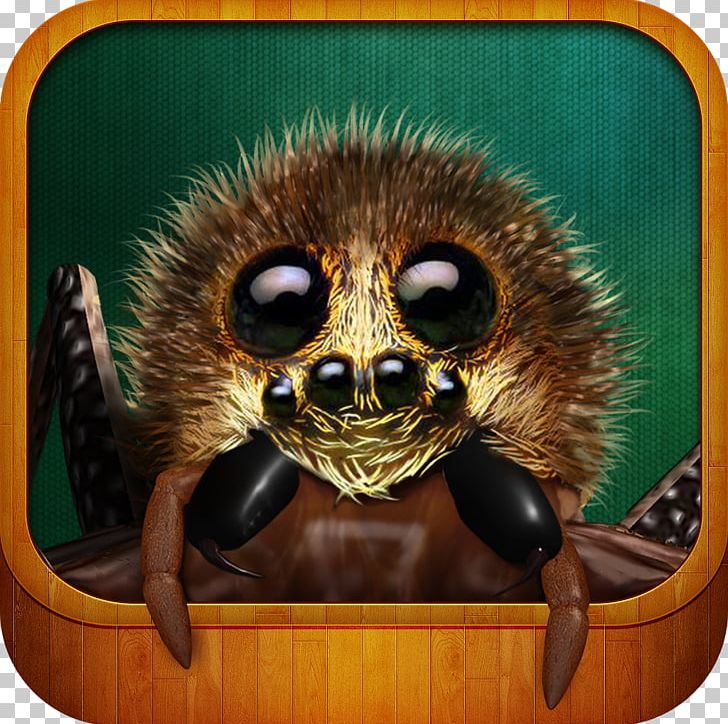 Real Scary Spiders Apple App Store IPhone Computer PNG, Clipart, Android, Apple, App Store, Computer, For Kids Free PNG Download