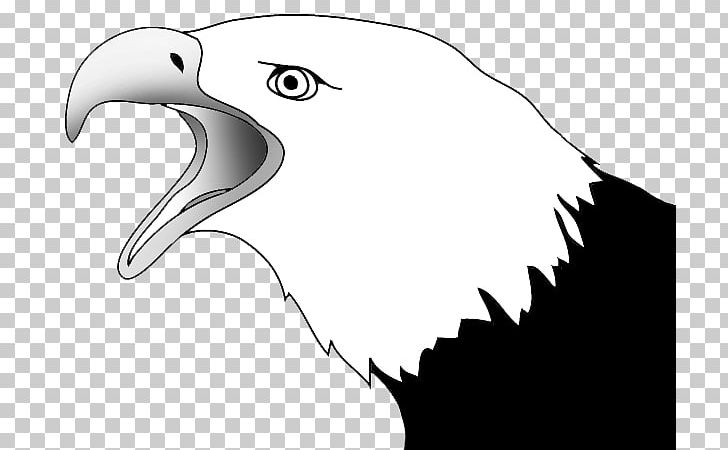Bald Eagle Drawing Sketch PNG, Clipart, Accipitriformes, Art, Bald Eagle, Beak, Bird Free PNG Download