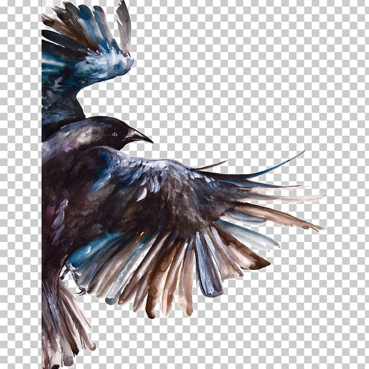 Common Raven Bird Watercolor Painting Flight PNG, Clipart, Animal, Animals, Art, Beak, Black And White Free PNG Download