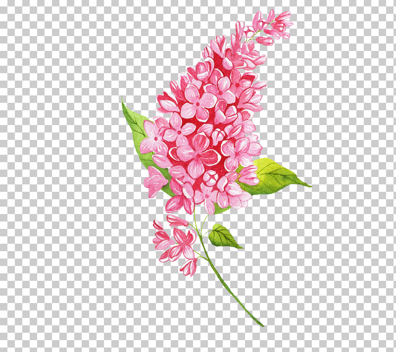 Artificial Flower PNG, Clipart, Anthurium, Artificial Flower, Cut Flowers, Flower, Peony Free PNG Download