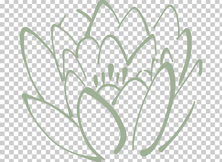 Drawing Sacred Lotus Coloring Book Sketch PNG, Clipart, Angle, Art, Black And White, Branch, Coloring Book Free PNG Download