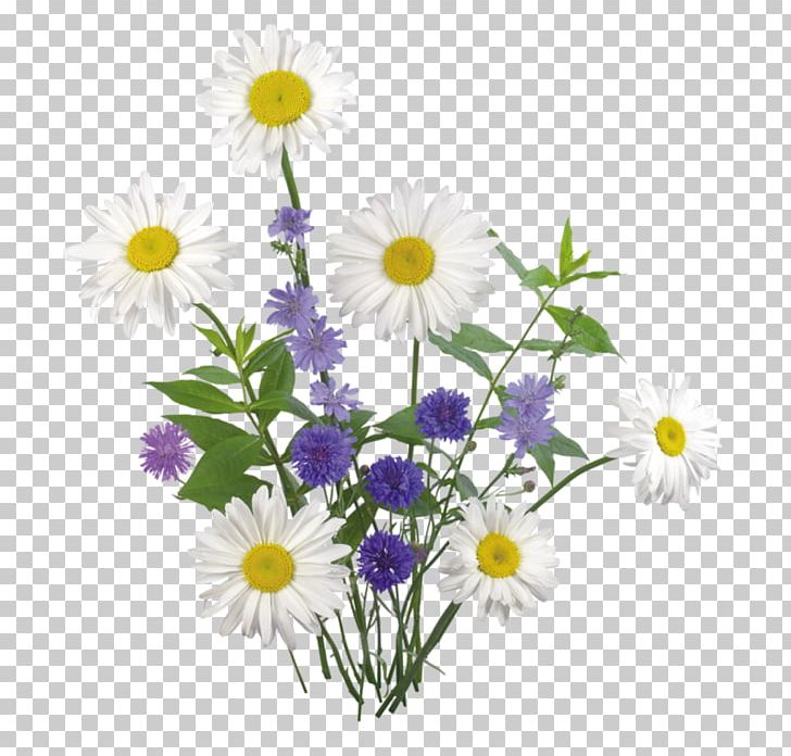 Flower Bokmärke Chamomile PNG, Clipart, Annual Plant, Camomile, Chamaemelum Nobile, Chrysanths, Common Daisy Free PNG Download