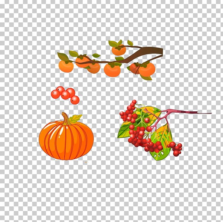 Pumpkin Cartoon Illustration PNG, Clipart, Balloon Cartoon, Calabaza, Cartoon, Cartoon Character, Cartoon Couple Free PNG Download